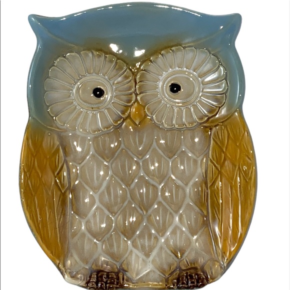 Owl Ceramic Kitchen 4 Piece Set Hand-Painted Functional Kitchen Art Blue Tan - Picture 2 of 9
